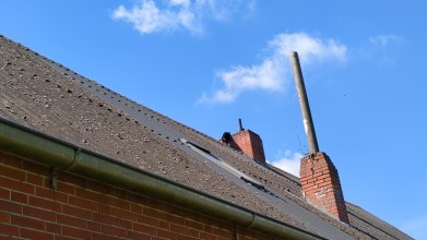 Einsatzfoto katze-auf-dach3.jpg