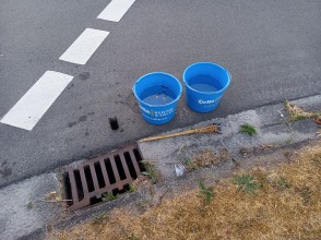 Einsatzfoto WhatsApp Image 2023-06-25 at 13.22.25.jpeg