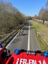 Einsatzfoto A31-BaumAufStrasse.jpeg