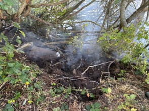 Einsatzfoto 1000130227.jpg